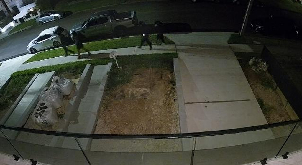 悉尼民宅深夜遭劫！4人持械强闯盗走财物，至今仍在逃，警方急寻知情者（组图） - 3