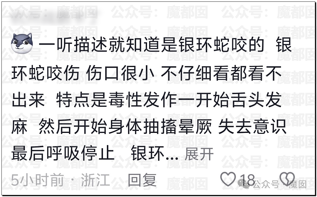 冲上热搜！27岁女子在三亚酒店被不明物咬伤后身亡，家属质疑医院延误救治，评论区炸锅（组图） - 20