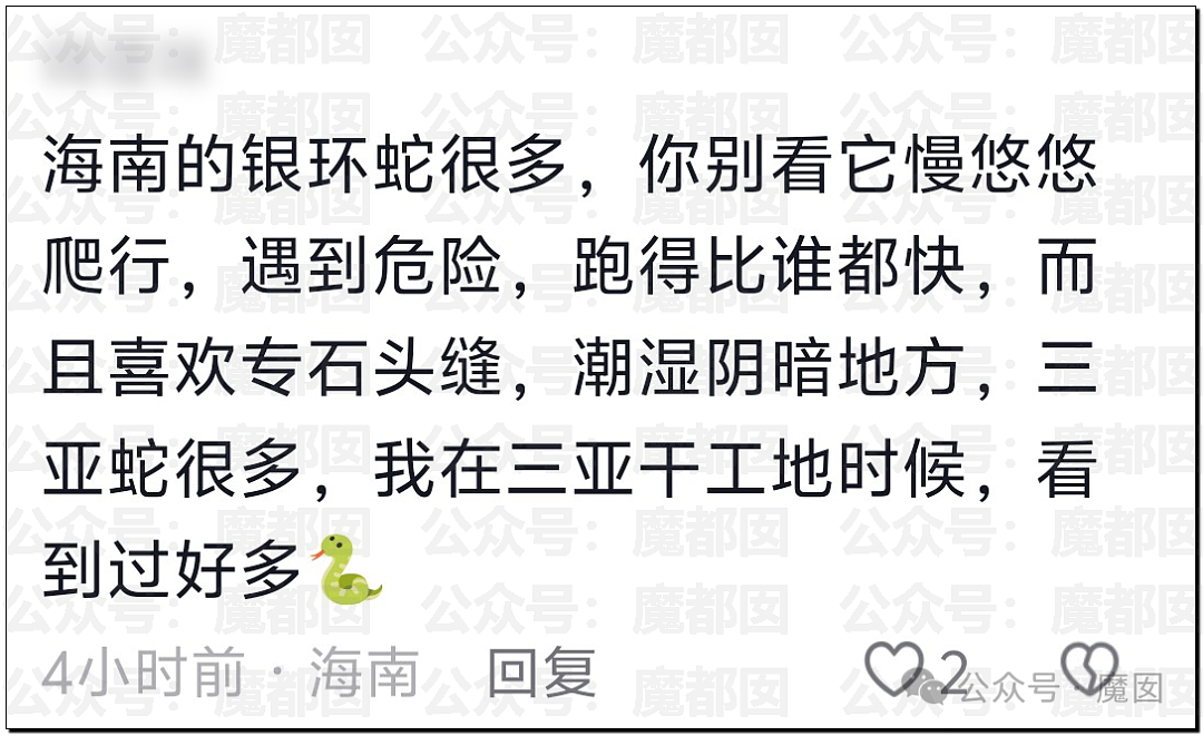冲上热搜！27岁女子在三亚酒店被不明物咬伤后身亡，家属质疑医院延误救治，评论区炸锅（组图） - 22