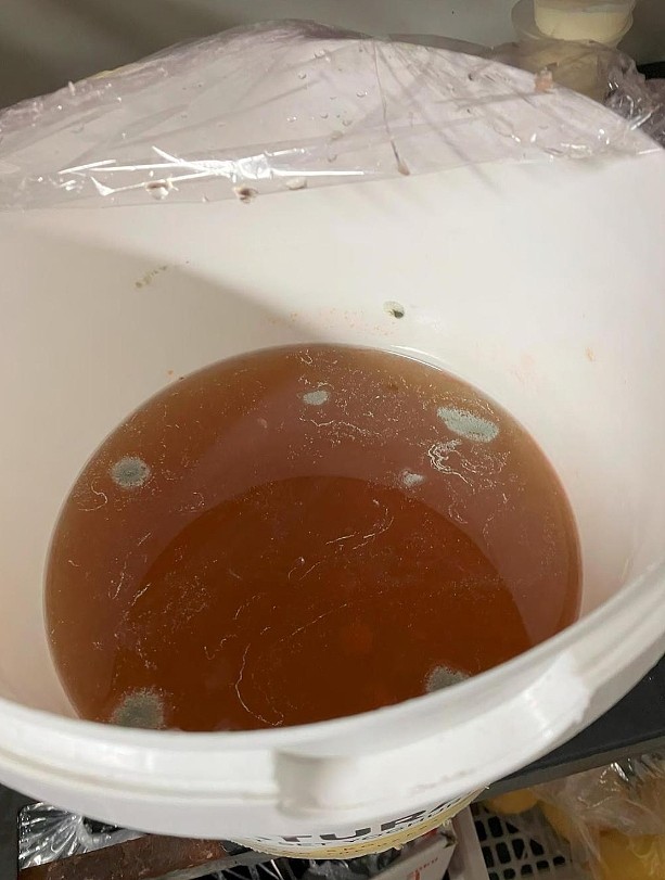 老鼠屎、死蟑螂、活蚂蚁…澳餐馆后厨照片曝光，华人老板恐遭重罚（组图） - 4