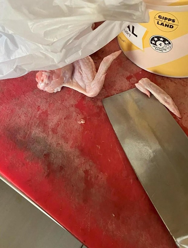老鼠屎、死蟑螂、活蚂蚁…澳餐馆后厨照片曝光，华人老板恐遭重罚（组图） - 12