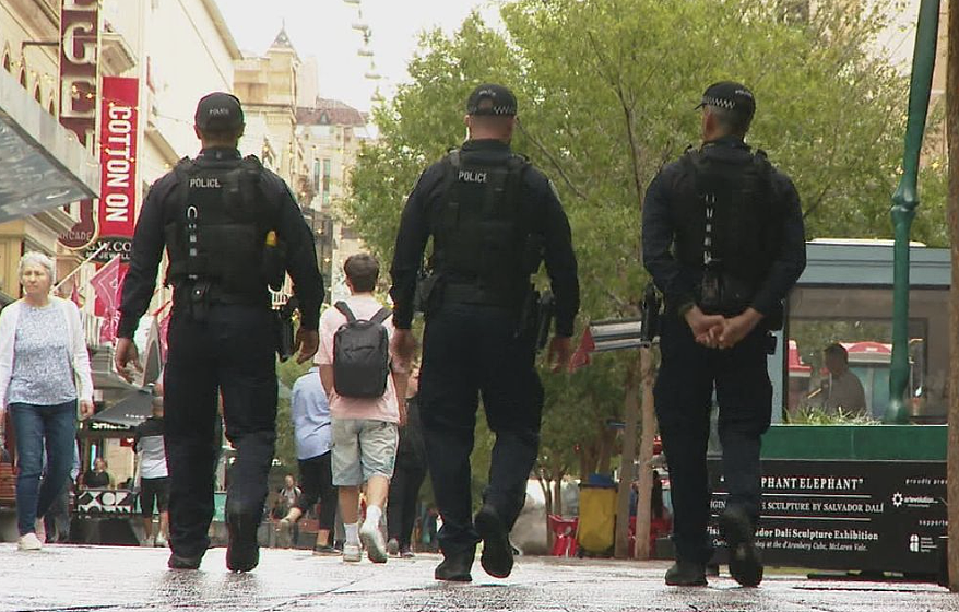 南澳预算案出台:家庭获教育补贴,警力建设成重点(组图) - 2