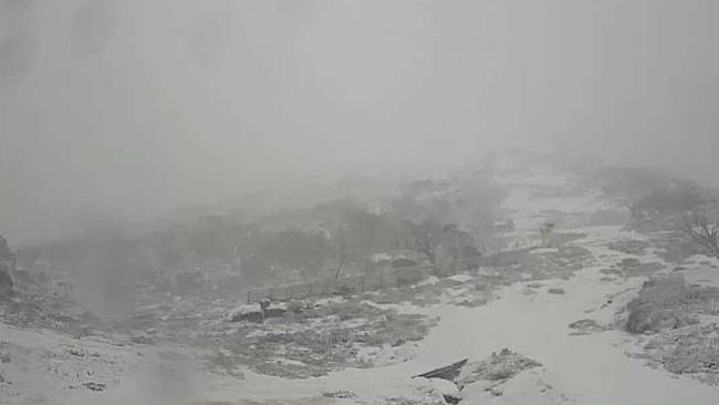 寒流来袭！长周末期间，澳洲多州迎来强降雪、大风低温天气（组图） - 4