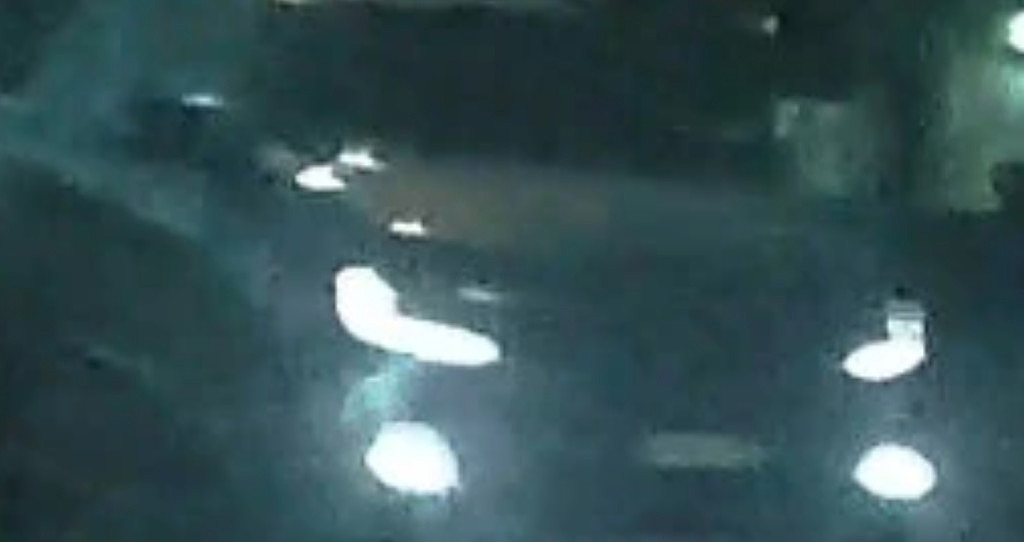 悉尼发生肇事逃逸事件！1名女子被撞身亡，司机无证驾驶被捕（组图） - 3