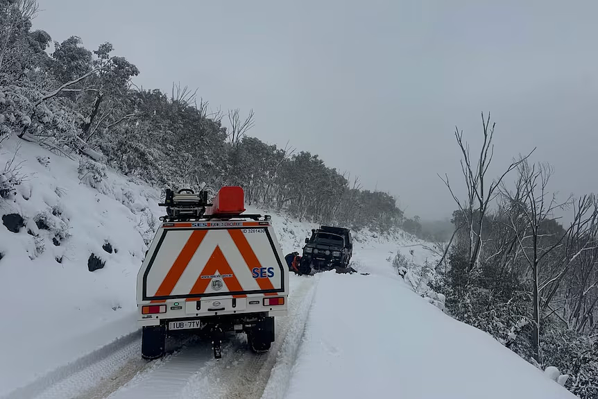 维州大雪致大批车辆被困，当局展开紧急救援！已有13人获救（组图） - 3