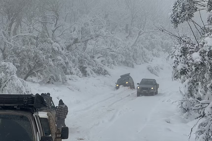 维州大雪致大批车辆被困，当局展开紧急救援！已有13人获救（组图） - 4