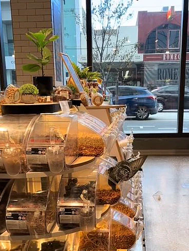 不速之客闯入Coles，大摇大摆享用自助餐！吃完还不用给钱...（视频/组图） - 2
