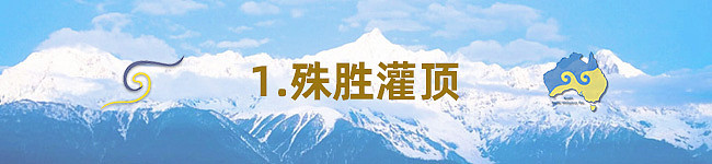 2025 第十二届澳洲噶举祈愿法会即将于8月13日盛大开幕 - 21