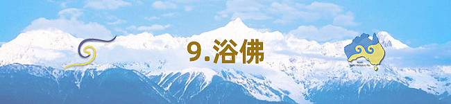 2025 第十二届澳洲噶举祈愿法会即将于8月13日盛大开幕 - 39