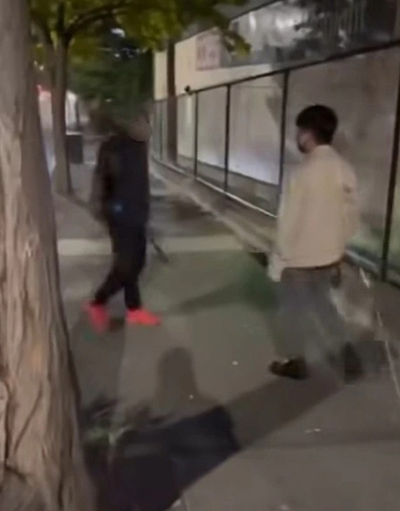 视频网上疯传！澳男街头挥舞大刀，路人受威胁霸气反击：想打我？（组图） - 4