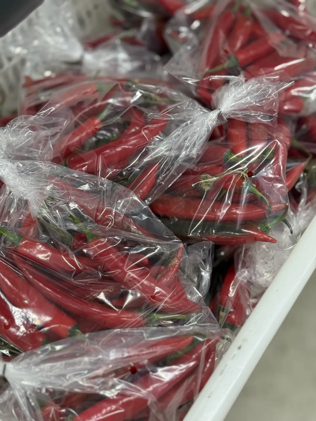 价格杀疯了!悉尼这家超市老板亏本100万抢用户!蔬菜鸡蛋牛奶比Costco和Aldi还便宜! - 5