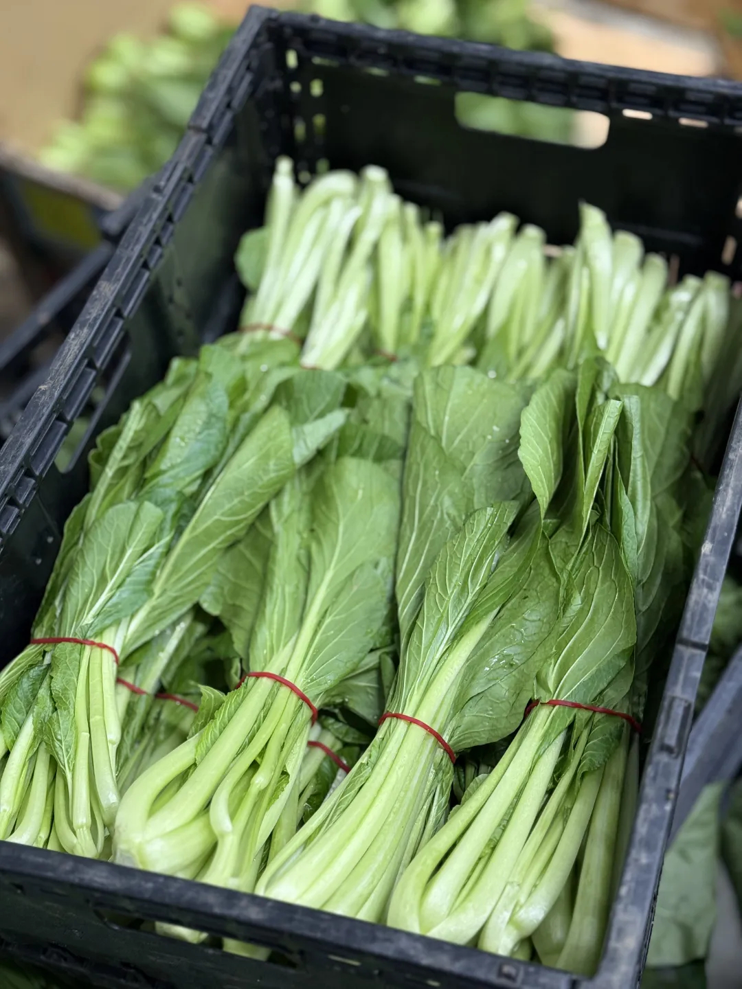 价格杀疯了!悉尼这家超市老板亏本100万抢用户!蔬菜鸡蛋牛奶比Costco和Aldi还便宜! - 4