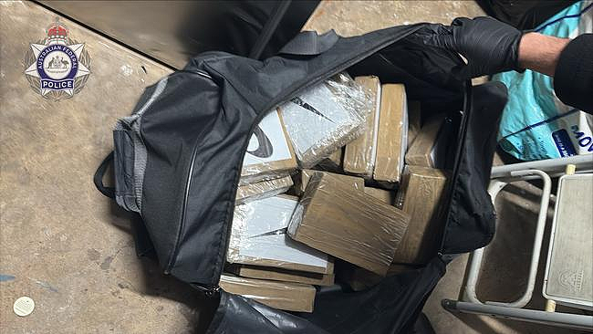 澳警方突袭悉尼富人区豪宅，乔装成tradie抓人！1男子被捕，被控接收近$1000万毒品（组图） - 3