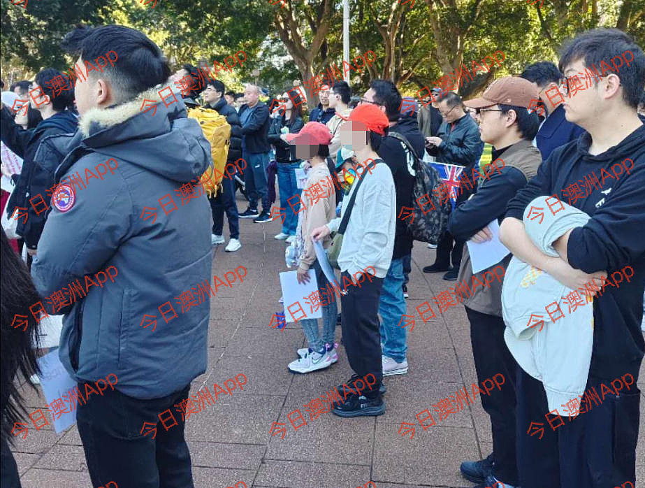 现场直击!数百华人悉尼CBD游行,吁严惩青少年犯罪!“华人不是好欺负的”(视频/组图) - 9