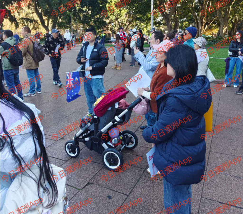 现场直击!数百华人悉尼CBD游行,吁严惩青少年犯罪!“华人不是好欺负的”(视频/组图) - 15