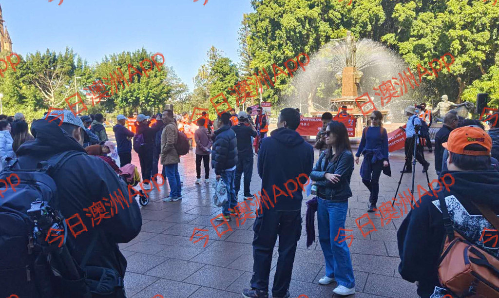 现场直击!数百华人悉尼CBD游行,吁严惩青少年犯罪!“华人不是好欺负的”(视频/组图) - 17