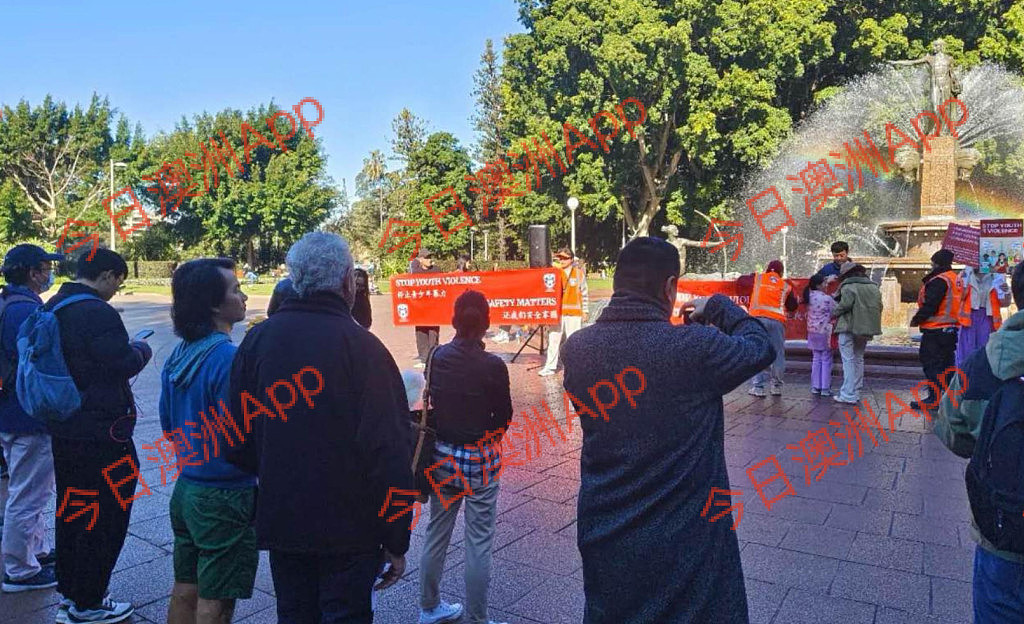现场直击!数百华人悉尼CBD游行,吁严惩青少年犯罪!“华人不是好欺负的”(视频/组图) - 16