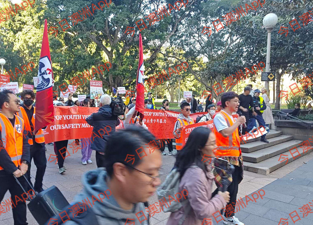 现场直击!数百华人悉尼CBD游行,吁严惩青少年犯罪!“华人不是好欺负的”(视频/组图) - 6