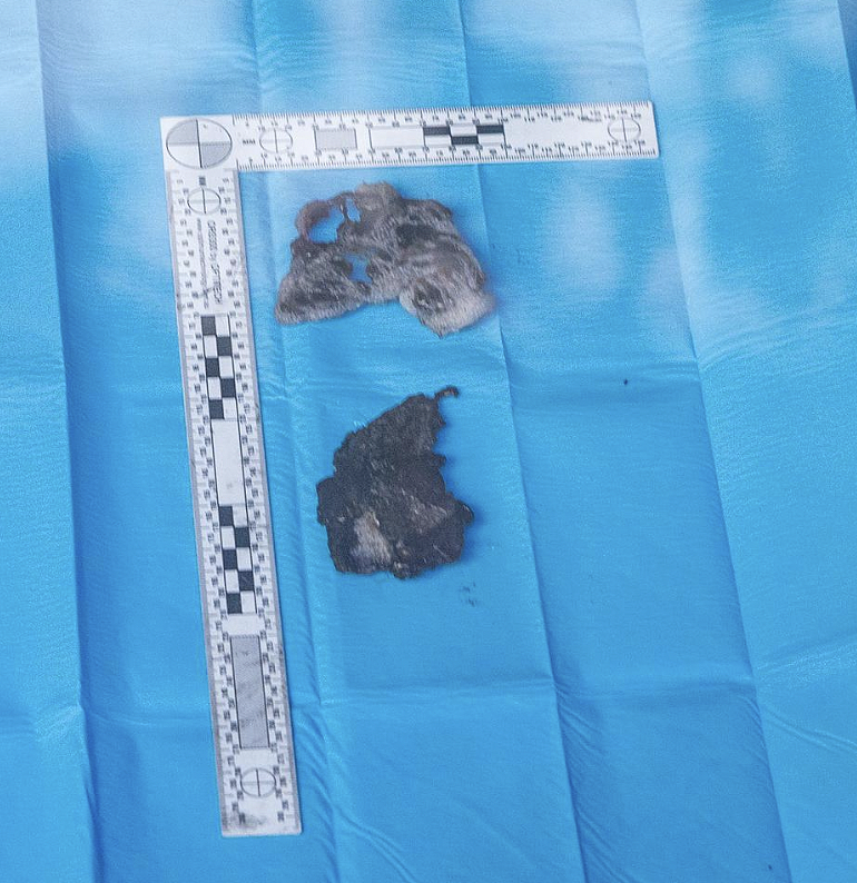 健身房、商铺、多辆汽车遭殃!新州一夜四起可疑火灾,警方急寻目击者(组图) - 4