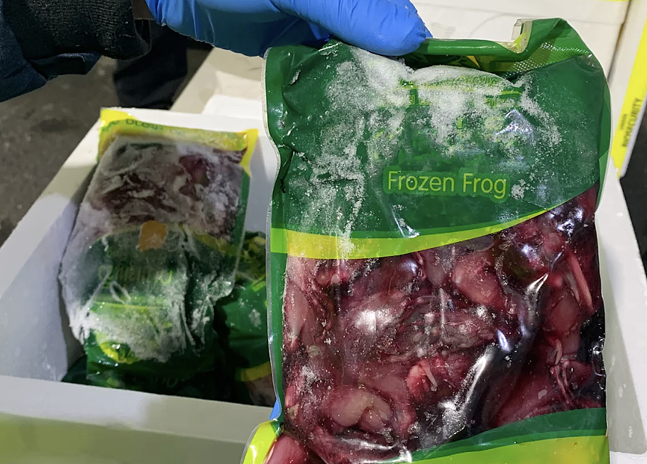 悉尼黑市食品交易链曝光:6.2万公斤违禁品背后的生物安全危机(组图) - 2