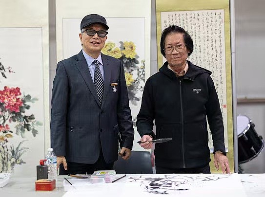 文化共融之光点亮悉尼夜空,「多元文化之夜」在奥本市政厅隆重举行（组图） - 3