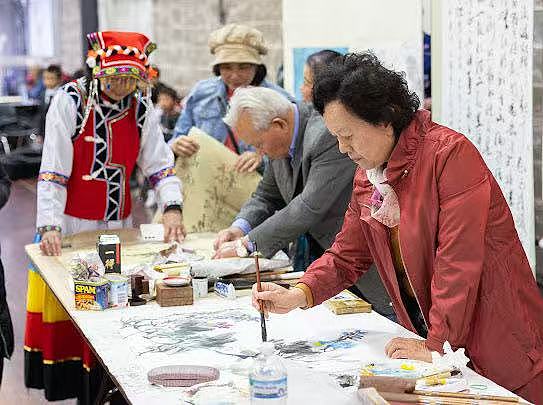 文化共融之光点亮悉尼夜空,「多元文化之夜」在奥本市政厅隆重举行（组图） - 7