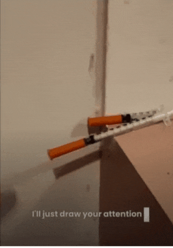 地上有死老鼠，厕所有针头！珀斯“破烂屋”遭疯狂求购，半小时售出（GIF/图） - 3