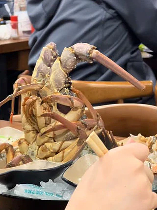悉尼餐厅“活吃龙虾”惹争议,食客直呼“好吃”!网友却怒批:太残忍(视频/组图) - 4