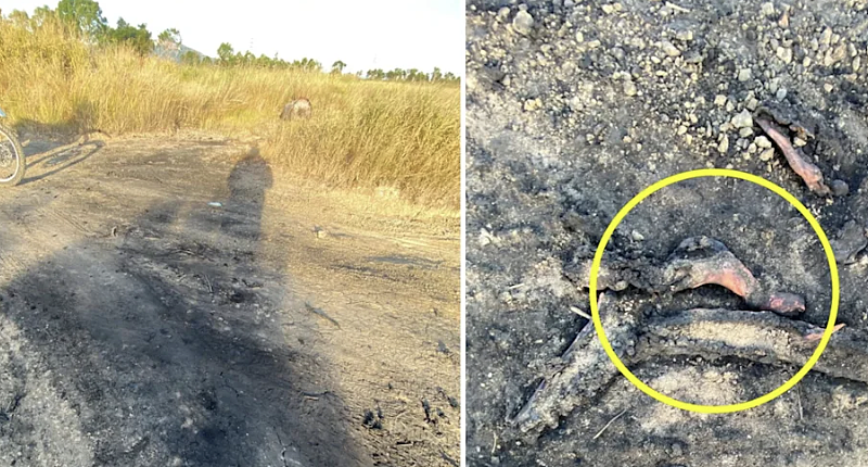 澳洲高速公路陷入黑暗：铜线盗窃猖獗，年损超$1亿（组图） - 4