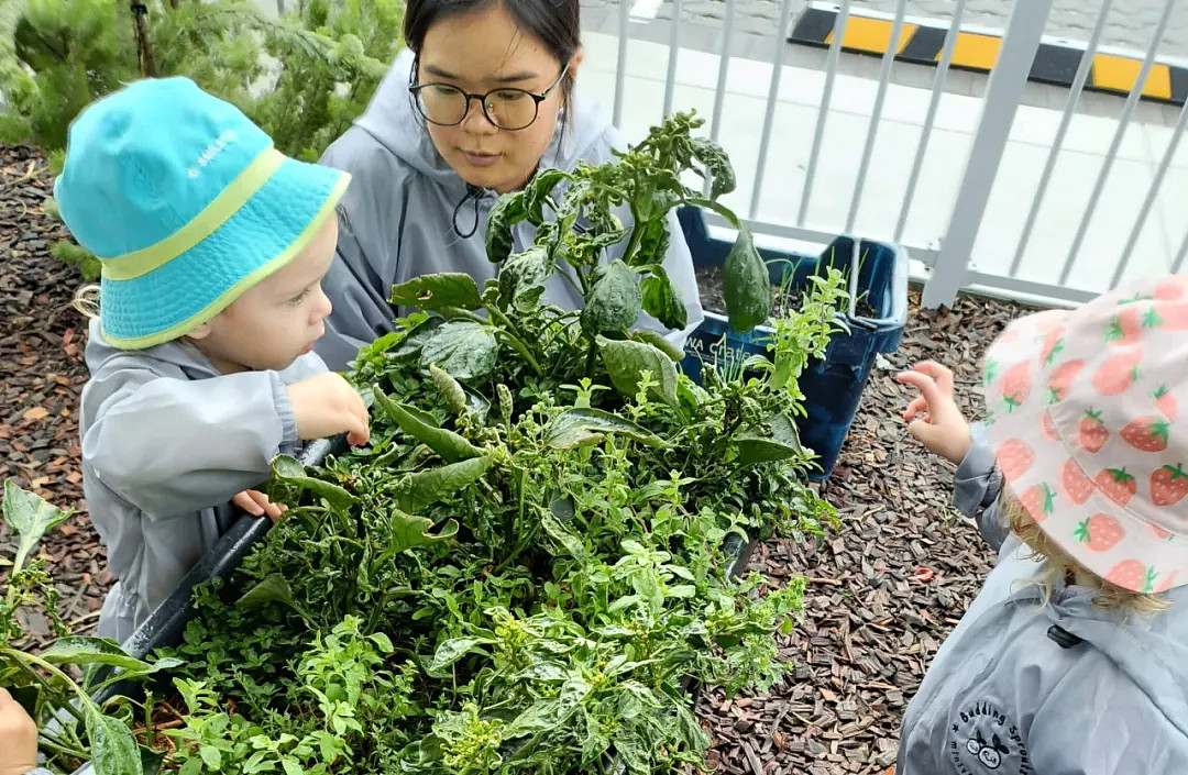 奔走相告!就在珀斯Vic Park,家长们抓紧了(组图) - 10