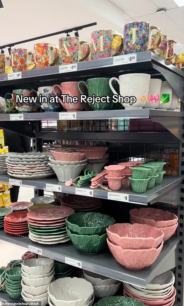 The Reject Shop餐具系列引发抢购潮!低至$4起,氛围感拉满(组图) - 2