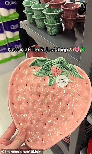 The Reject Shop餐具系列引发抢购潮!低至$4起,氛围感拉满(组图) - 3