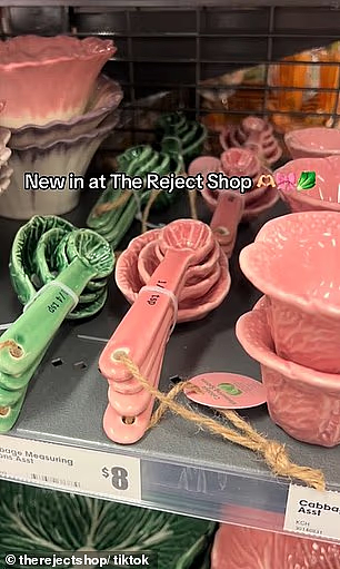 The Reject Shop餐具系列引发抢购潮!低至$4起,氛围感拉满(组图) - 4