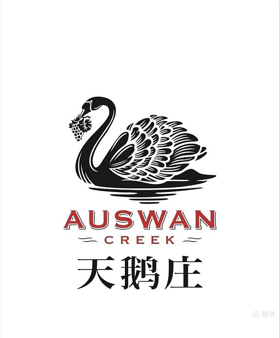 澳洲国际舞蹈大赛（AIDC）震撼来袭 舞动世界，闪耀悉尼！（组图） - 10