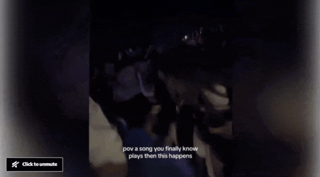 珀斯teenager演唱会暴力斗殴，一女子被打至昏迷，现场一片混乱（GIF） - 3