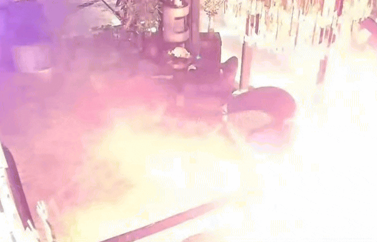 Burwood美发店遭纵火!警方公布监控,向民众寻求线索(视频/组图) - 3