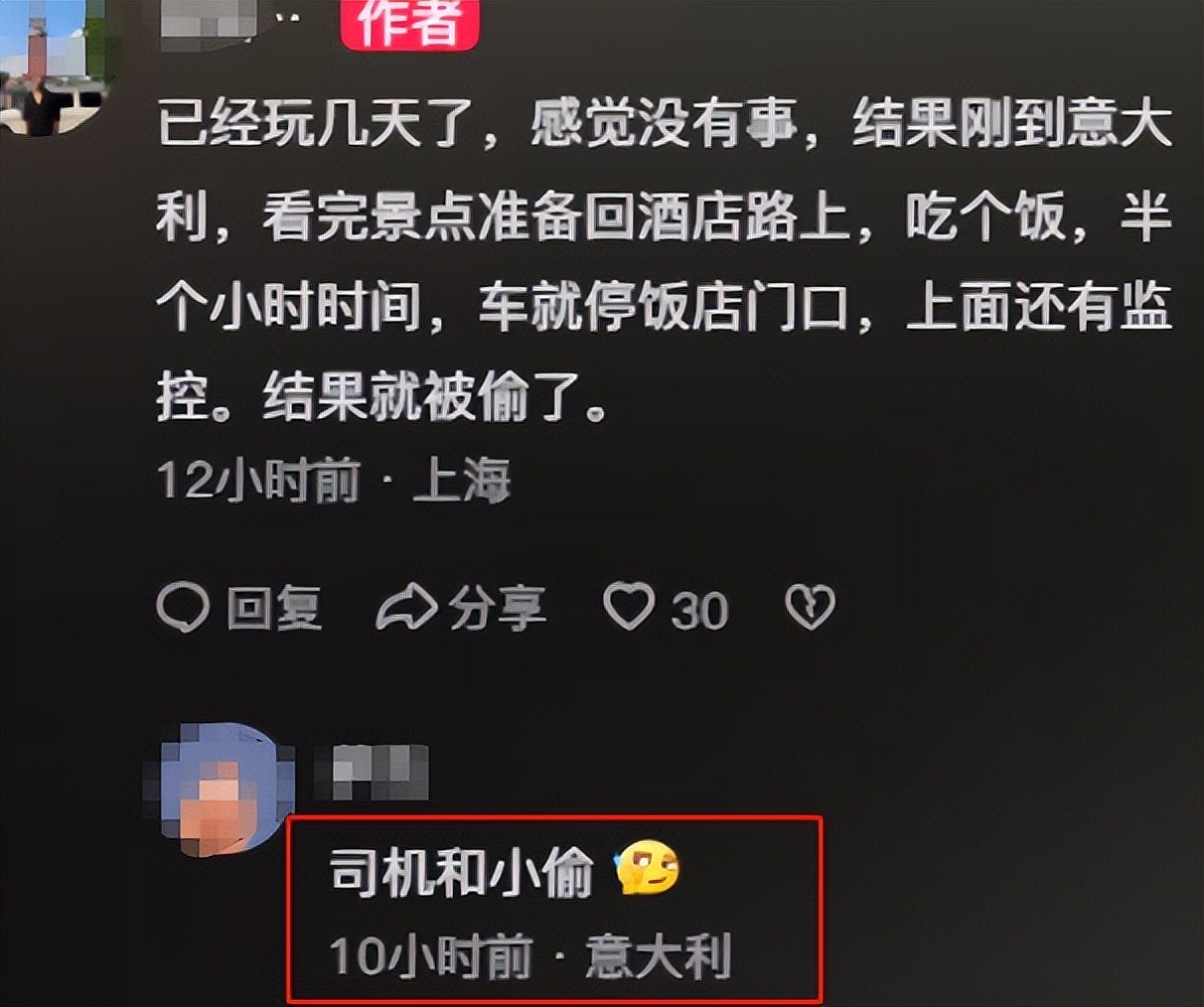 中国旅行团在意大利被洗劫!游客都懵了:吃饭20来分钟,回来大巴车内财物全没了,损失好几十万(视频/组图) - 8