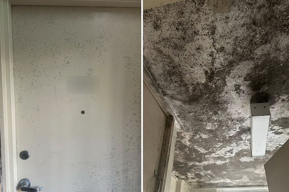 霉菌、积水、恶臭：悉尼公共住房危机曝光，居住环境被专家判定“不宜居”（组图） - 2
