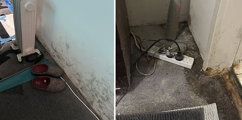 霉菌、积水、恶臭：悉尼公共住房危机曝光，居住环境被专家判定“不宜居”（组图） - 3