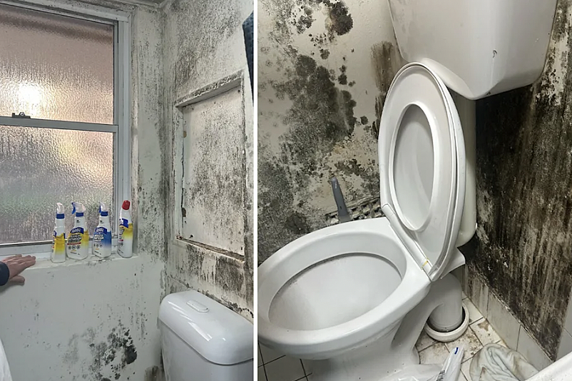 霉菌、积水、恶臭：悉尼公共住房危机曝光，居住环境被专家判定“不宜居”（组图） - 4