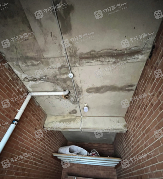 悉尼华人买房入住，车库竟如“水帘洞”？维修迟迟难推进，怒批物业“只收钱不办事”，后者却鸣冤了（图片） - 1