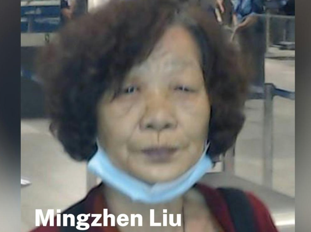 “祈福党”在澳疯狂作案！幕后主使今日出庭，7名华人嫌犯仍在逃，警方急寻知情者（组图） - 6