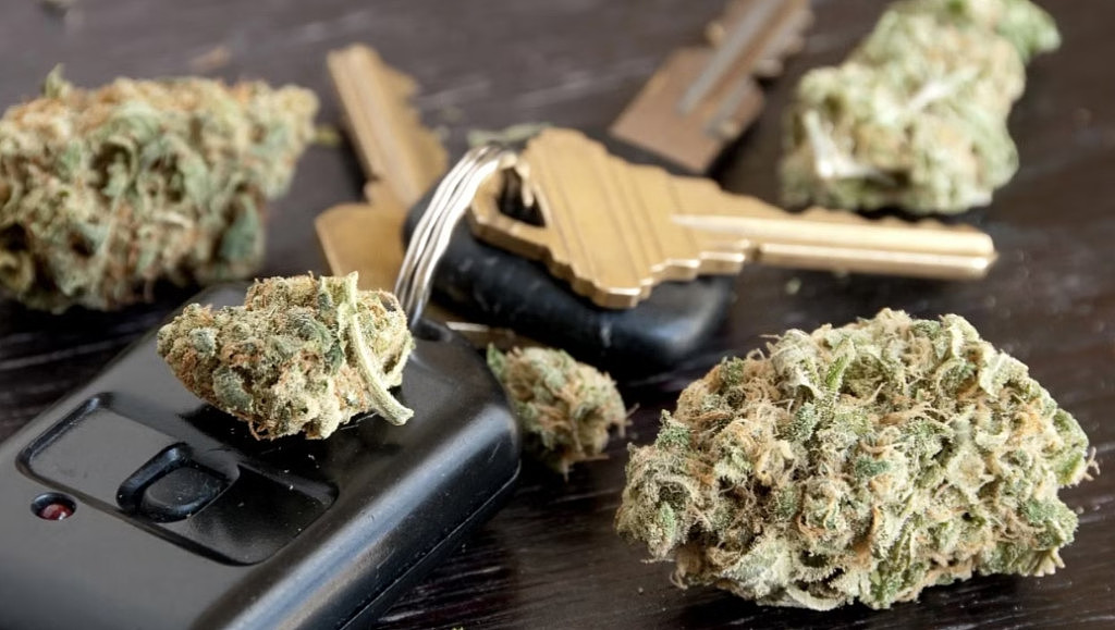 在澳洲，服用医用大麻开车违法吗？各州规定不同，最高恐被罚$10014（组图） - 4