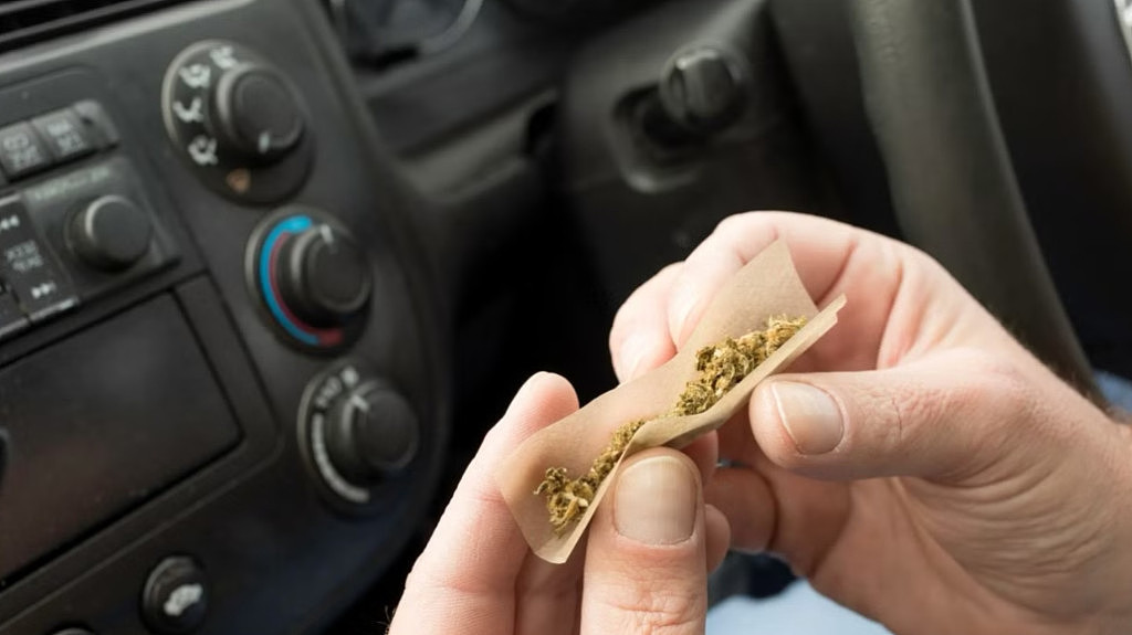 在澳洲，服用医用大麻开车违法吗？各州规定不同，最高恐被罚$10014（组图） - 7