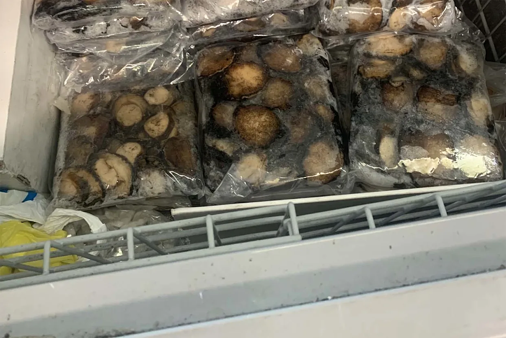 冰柜中发现大量鲍鱼，因无法说明来源，悉尼男子被重罚$1.5万！（组图） - 2
