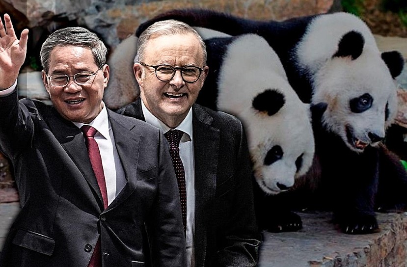艾博年即将启程访华！将利用2大攻势缓解紧张关系（组图） - 3