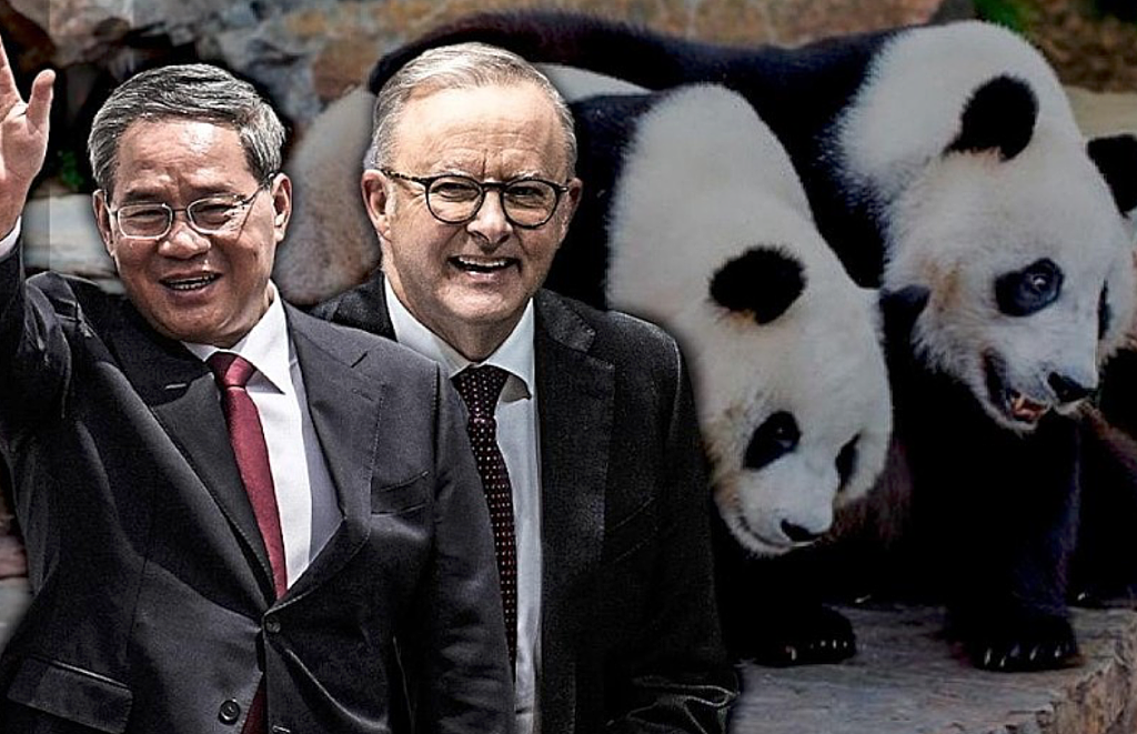 滚动更新：艾博年结束访华行程返澳，感谢中国领导人热情款待（视频/组图） - 34
