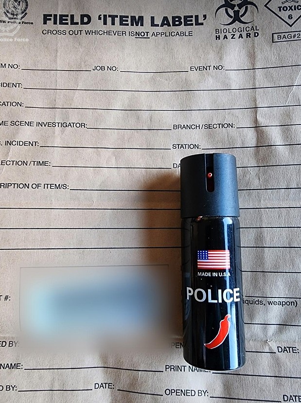 警方突袭悉尼民宅,缴获大量枪支、刀具和弹药!1人被控多项罪名(组图) - 3