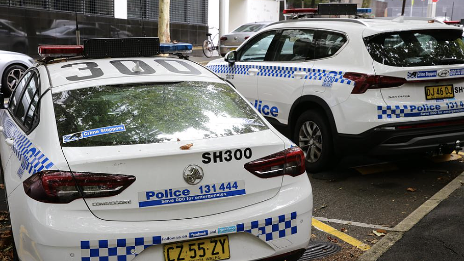 新州惊魂50公里！持斧劫车狂徒终落网，66岁老太遭碾压命危（图） - 2