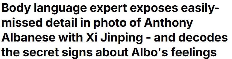 澳中领导人合影，艾博年肢体语言挨批！专家：一个假笑的书呆子（组图） - 1